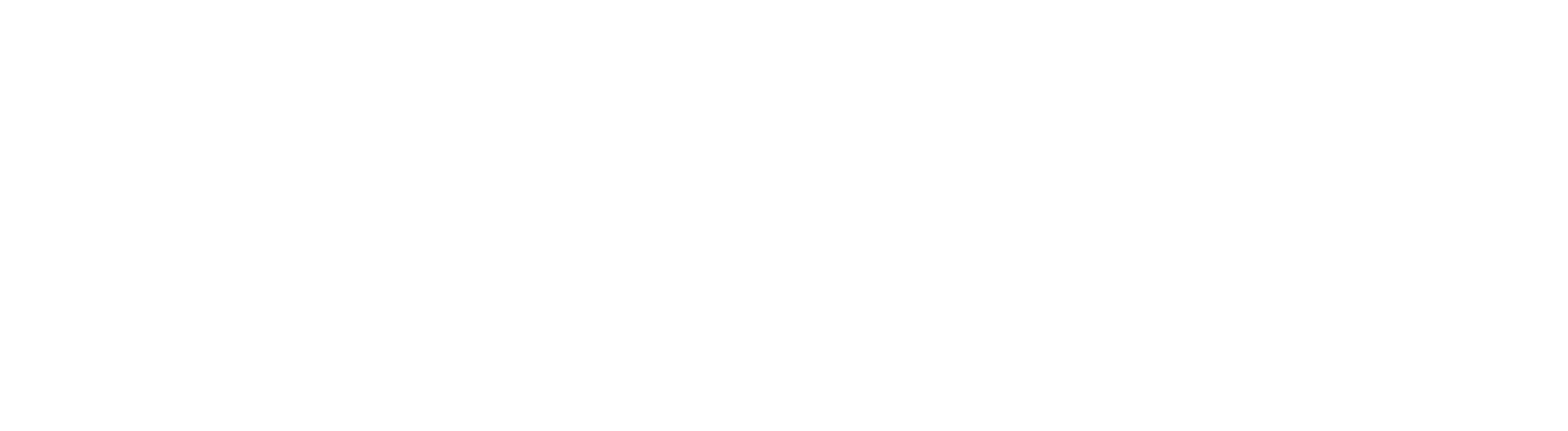 NTT Data logo